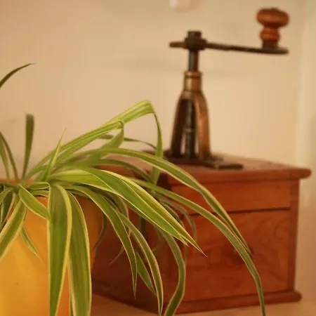 Lovely 3room In Kalamaja Next To Oldtown Korter Tallinn
